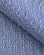 japanese carolina blue