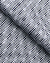 Wrinkle Resistant White Wash Checks Shirt