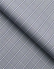 Wrinkle Resistant White Wash Checks Shirt