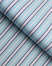 eggplant stripes